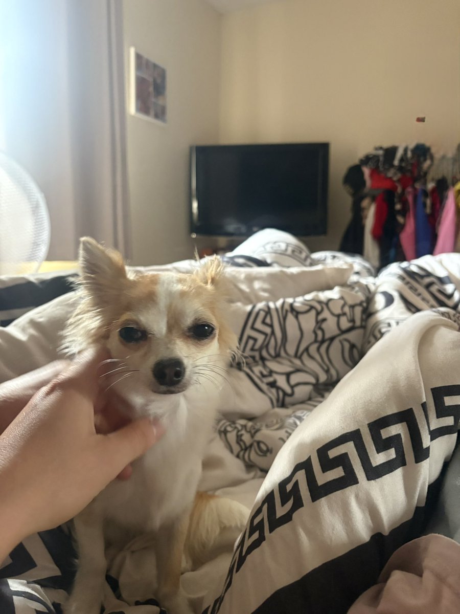 ljs_live69's tweet image. Rat just tongued me. Most action I’ve had, cunt