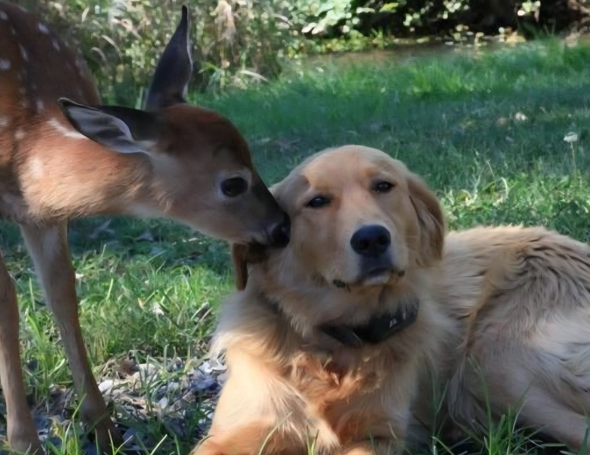 EddieBuck2019's tweet image. Buck and Eddie ❤️