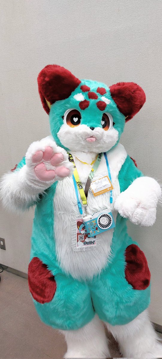 チョコイちゃん初めて？あって
可愛かったです✨

<a href="/koita_kemo51/">恋太</a> 
#みけこん2025なつ