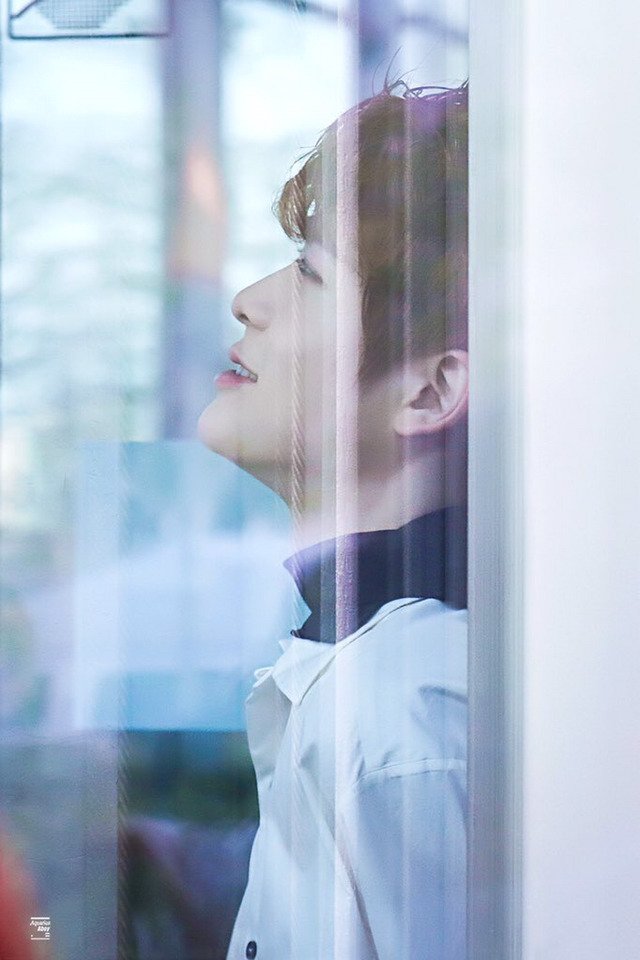 jjh_jay0214's tweet image. 아냥이