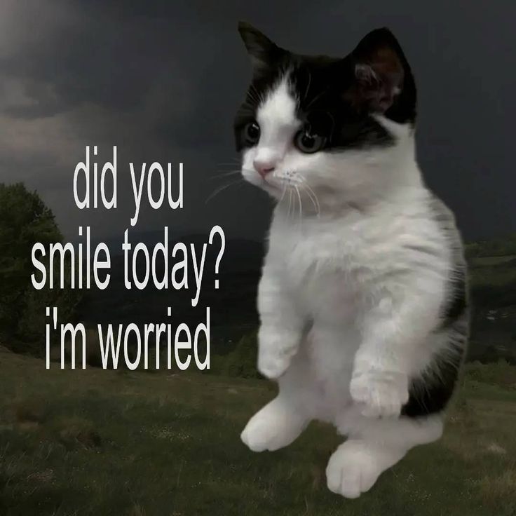 coqmyg's tweet image. 