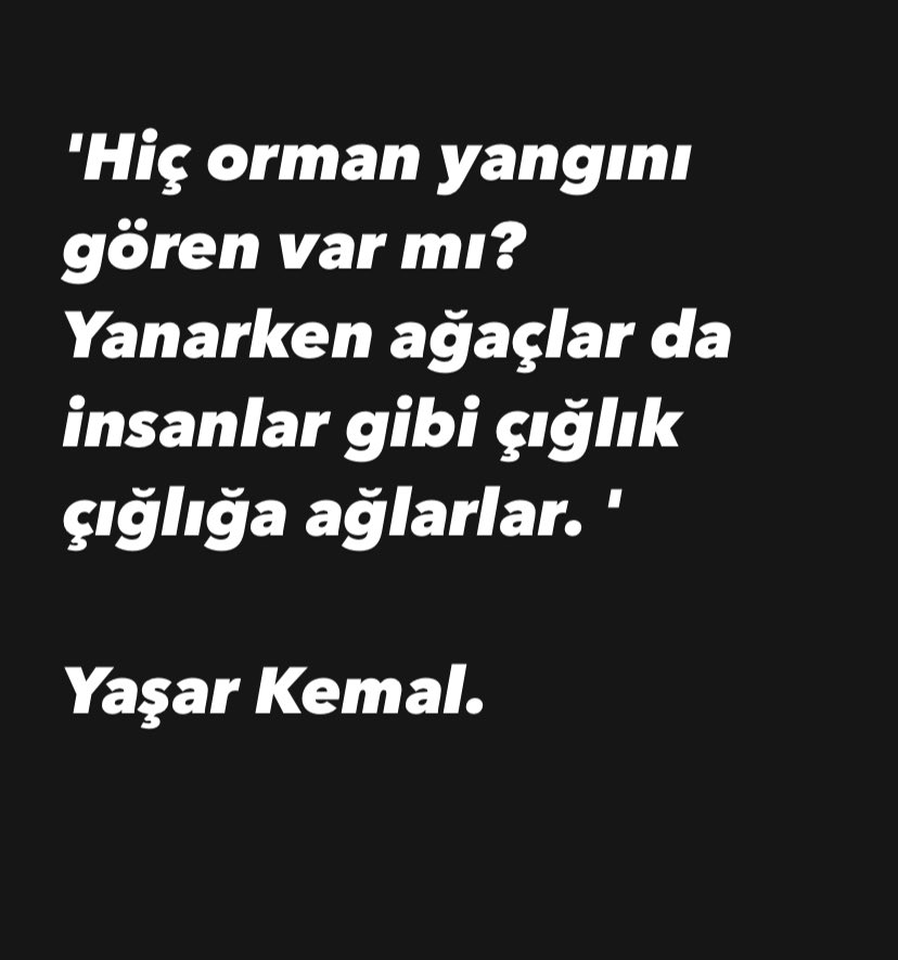 Ah güzel ülkem..
 #TürkiyeYanıyor