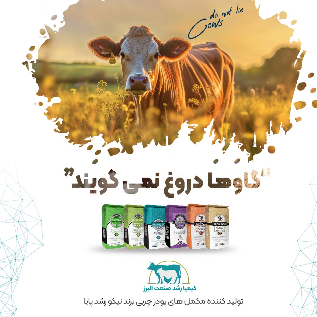MojtabaRazmi1's tweet image. گاوها
دروغ نمی‌گویند.