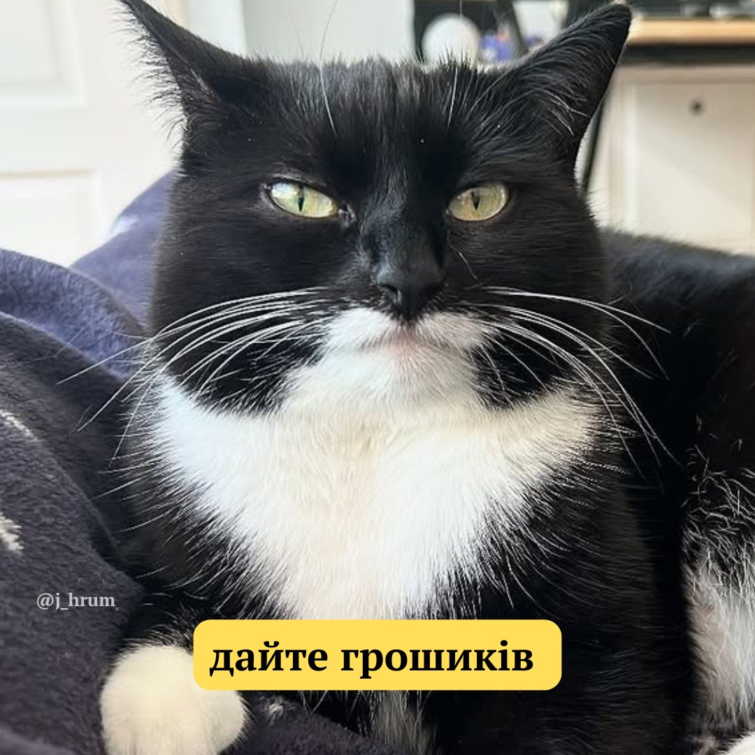 j_hrum's tweet image. добрий день, красиві🤍
✨ до закриття моєї допоміжної баночки залишилося зібрати 2425,57 грн
✨ до закриття основної баночки залишилося зібрати 9486 грн
🫙 send.monobank.ua/jar/9ZFkoCrCsp
paypal: olyaoracloud@gmail.com