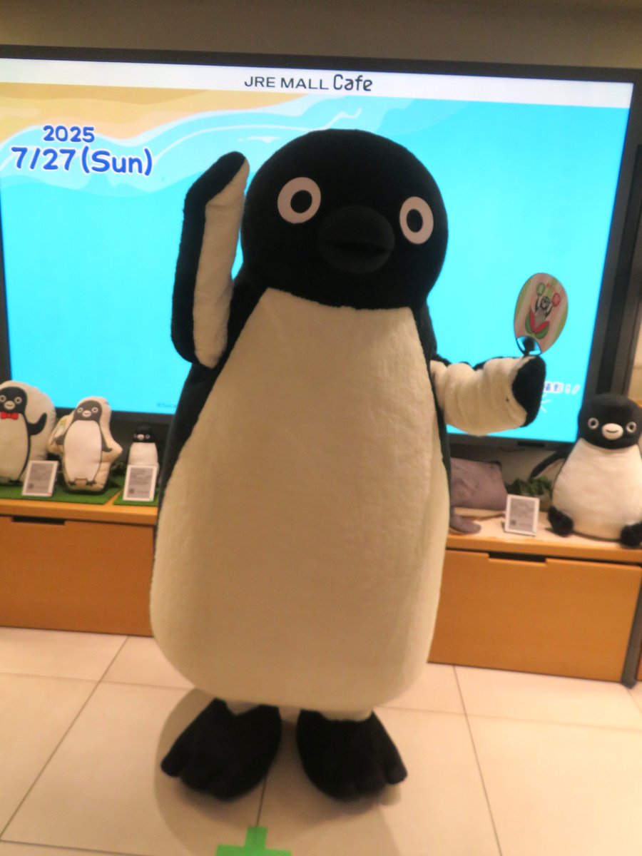 pingu651's tweet image. 横浜駅JRE MALL Cafe Suicaのペンギン撮影会最終日に参加
祭りだワッショイ！万歳！いただきました