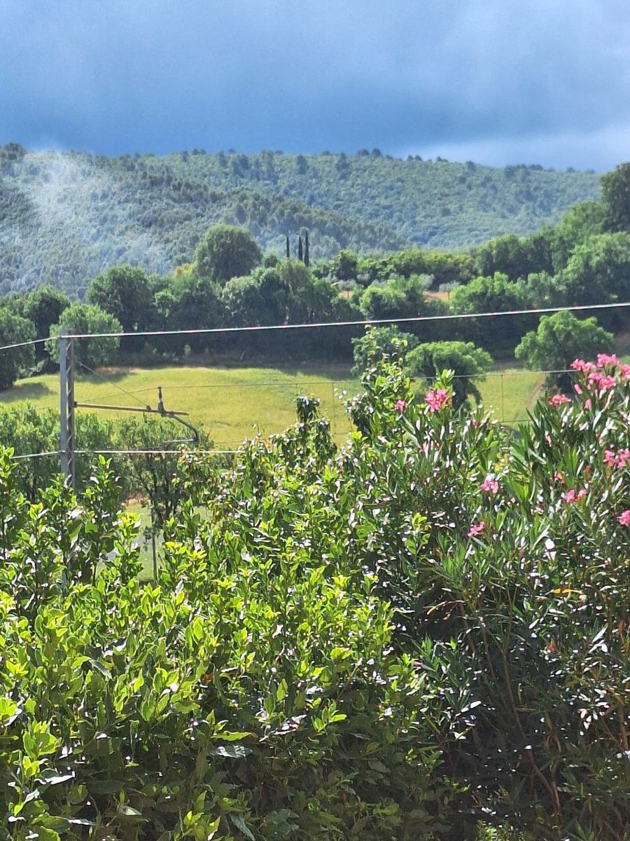 0xNikide's tweet image. Gooooood moarning Friends!☀️
It’s Sunday
#Touchthegrass
Yes, even you, Eternal grinder.
Even you, SolForgers!
Even you, fellow OverKnight stuck in the leaderboard trenches
🌱 A reminder that outside exists
💻 A reminder that $IMX gems don’t drop on your lawn (yet)
♟ And a…