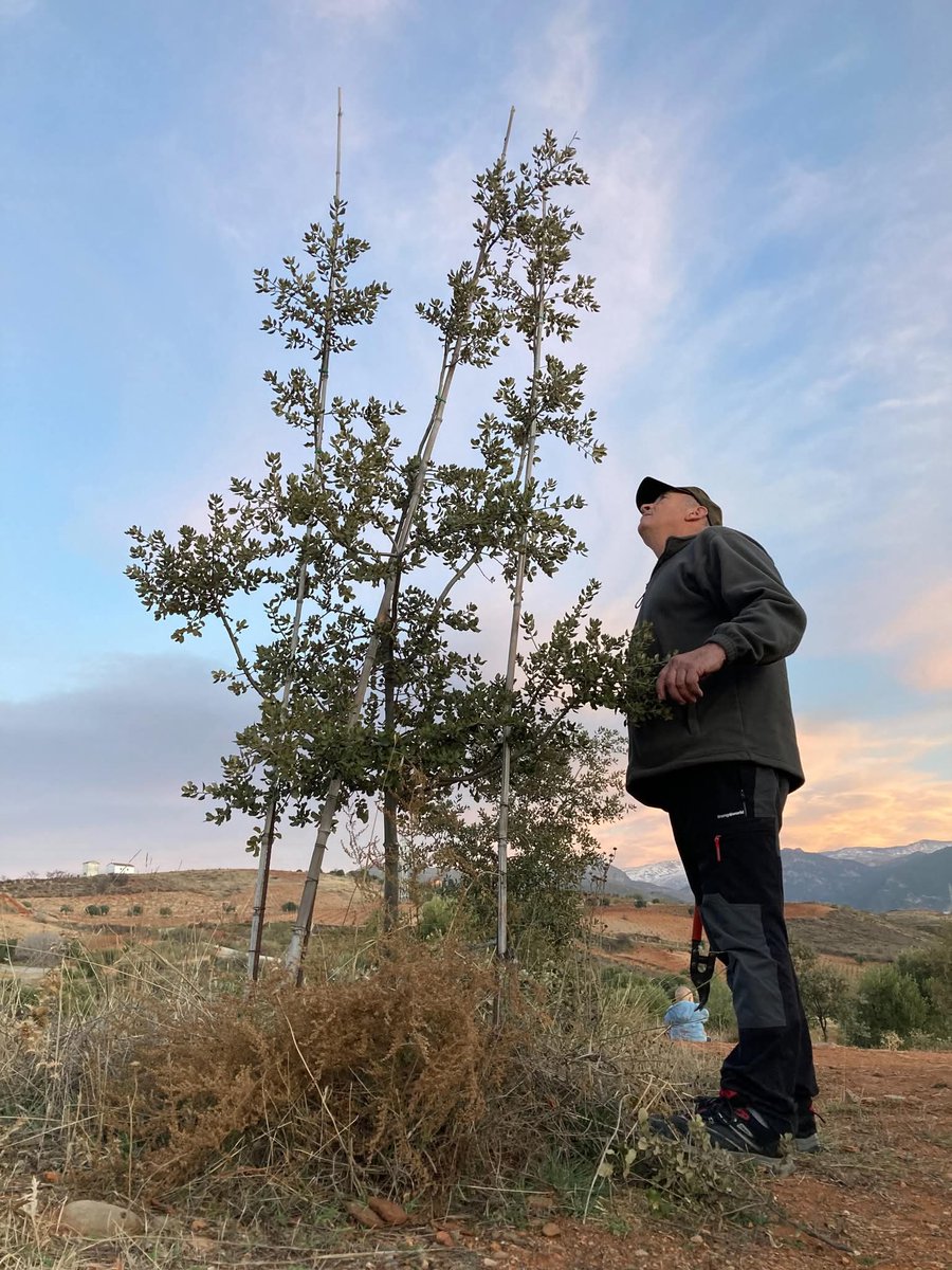Mar Verdejo Coto (@verdejomar) on Twitter photo Más Pepe Vibora en el Planeta
Más líderes como él en nuestras vidas
Más plantadores de bosques estudiando como él a los árboles #operacionencinaradio3
<a href="/BosqueHabitado/">El Bosque Habitado</a> <a href="/operacionencina/">Operación Encina</a> Más Pepe Vibora en el Planeta
Más líderes como él en nuestras vidas
Más plantadores de bosques estudiando como él a los árboles #operacionencinaradio3
<a href="/BosqueHabitado/">El Bosque Habitado</a> <a href="/operacionencina/">Operación Encina</a>