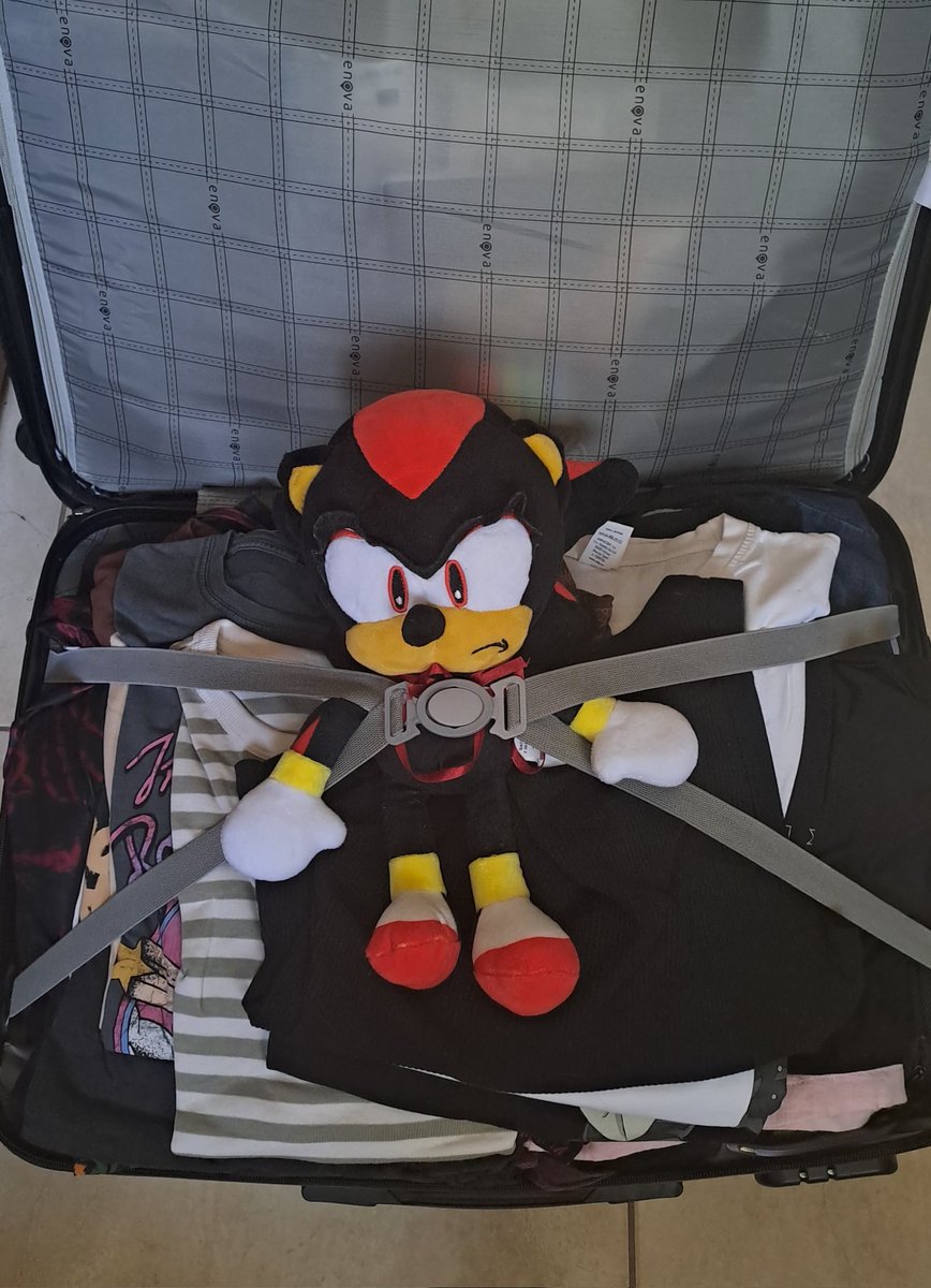 sonicspride's tweet image. I&apos;m travelling tonight