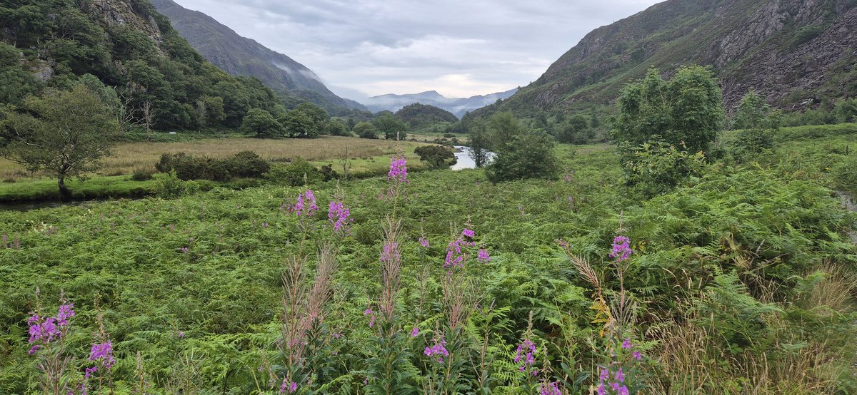 Peter Francken (@peter_francken) on Twitter photo 