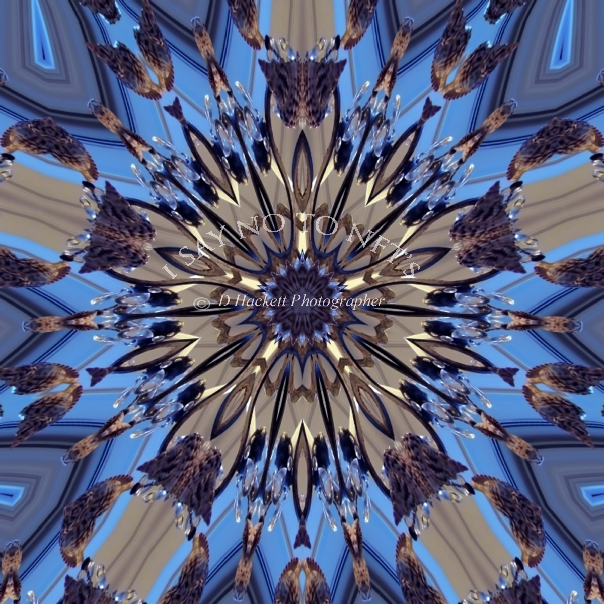 dhackett4150's tweet image. Shell Lamp Kaleidoscope by D Hackett Original kaleidoscope digital art created by using colors, effects, textures and filters. donna-hackett.pixels.com/featured/shell…