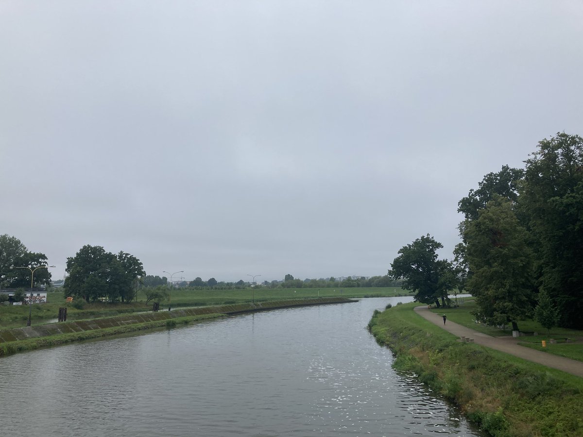 Szaro i zielono nad Odrą. Mokro, ale to po mżawce.