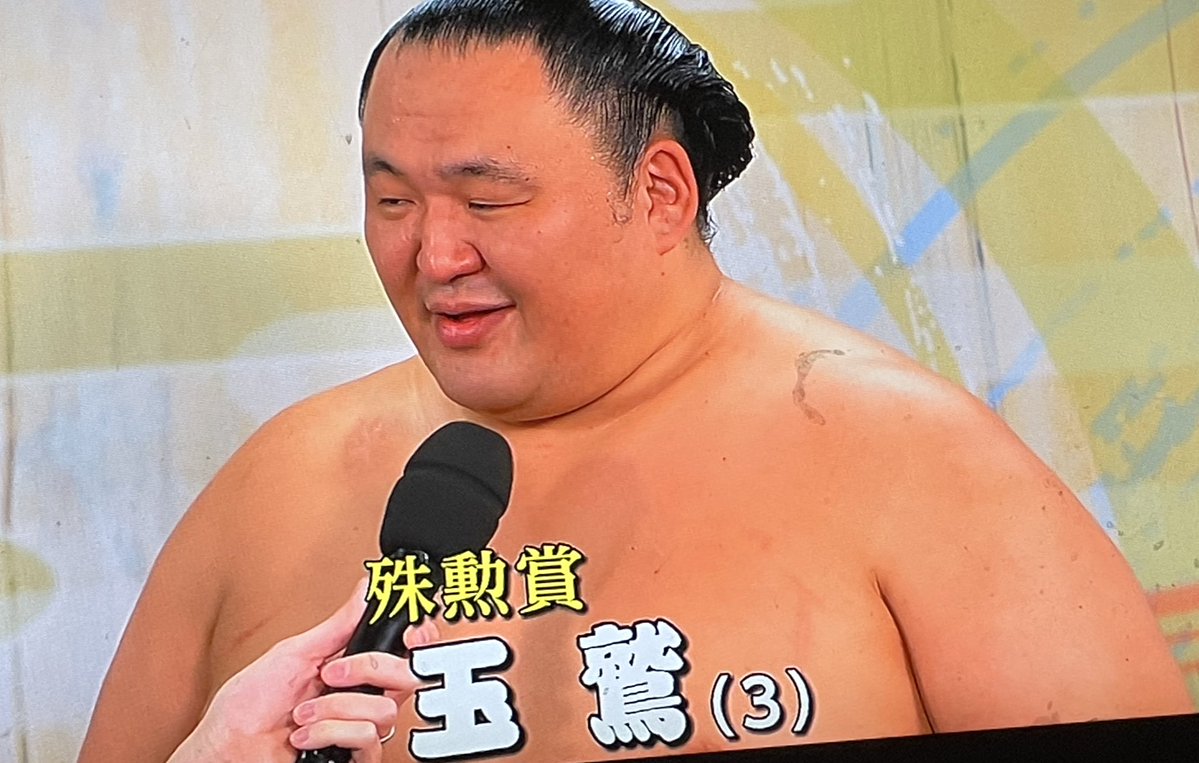 lo_chip's tweet image. 玉鷲3ちゃいなのかと思った