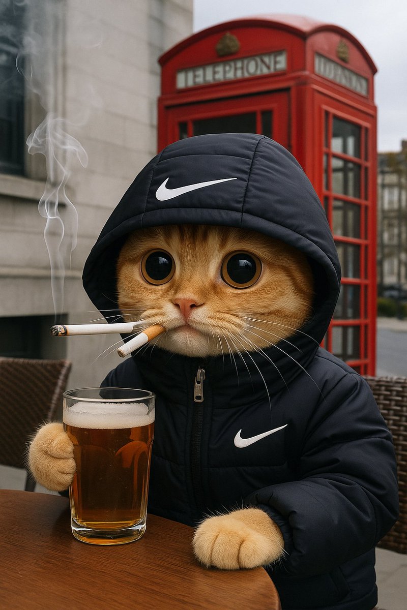 ajayjain831's tweet image. $bruv
