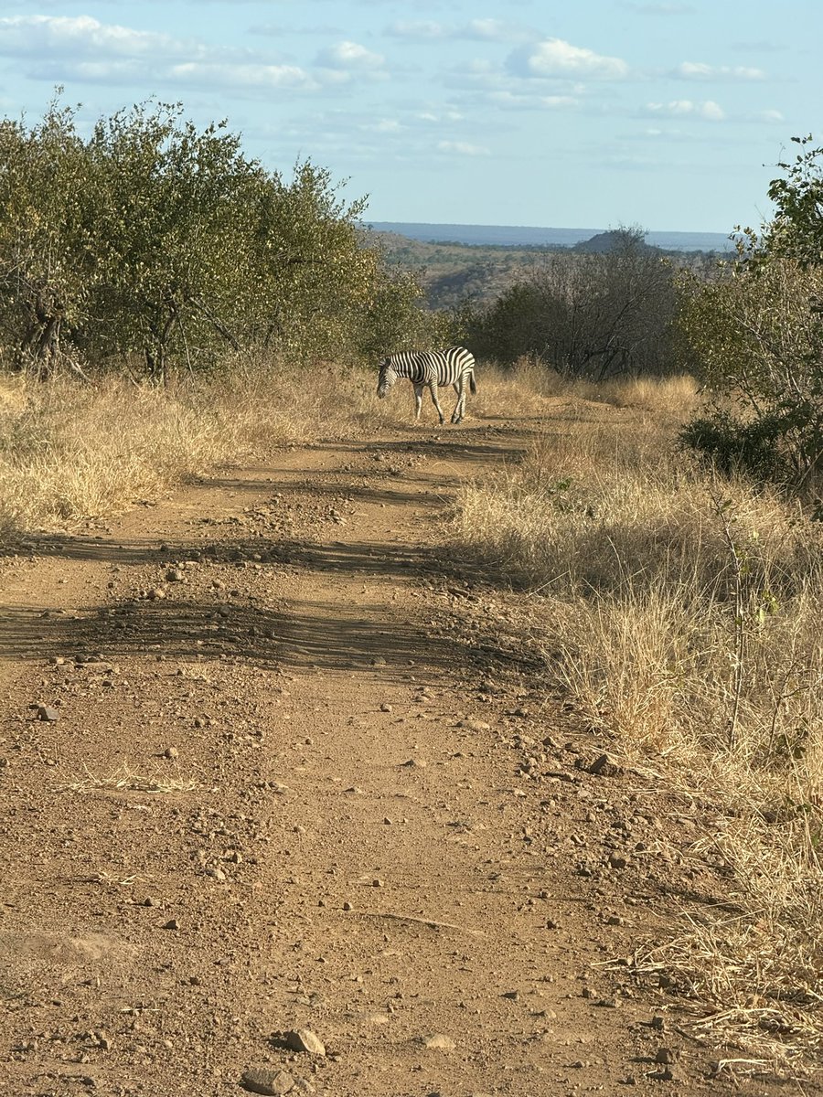 tahbryce's tweet image. Zimbabwe is beautiful, you just need a proper 4*4, 4 extra spare wheels, a reliable navigation system, (google Maps led us into pits), and a sheer thirst for adventure. @gonarezhoupark we were awed with sheer untamed beauty.