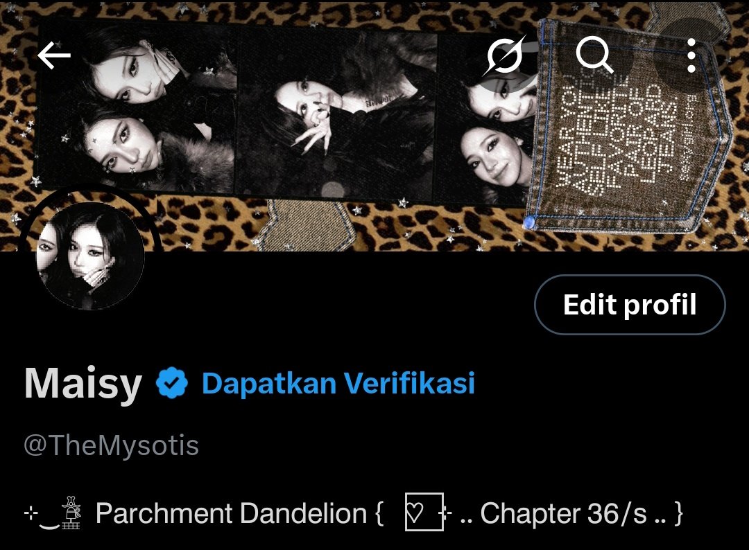 TheMysotis's tweet image. maisy dark era 🐆🖤