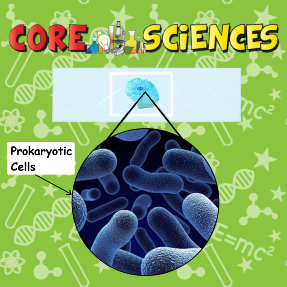coresciencesuk's tweet image. If your school is short of science staff, CoreSciences is easy for supply teachers or parents to use without additional assistance.   No prior science knowledge is required and lessons can be followed step by step🙌 #GCSEScience # #SciencePracticals #ScienceTeacher