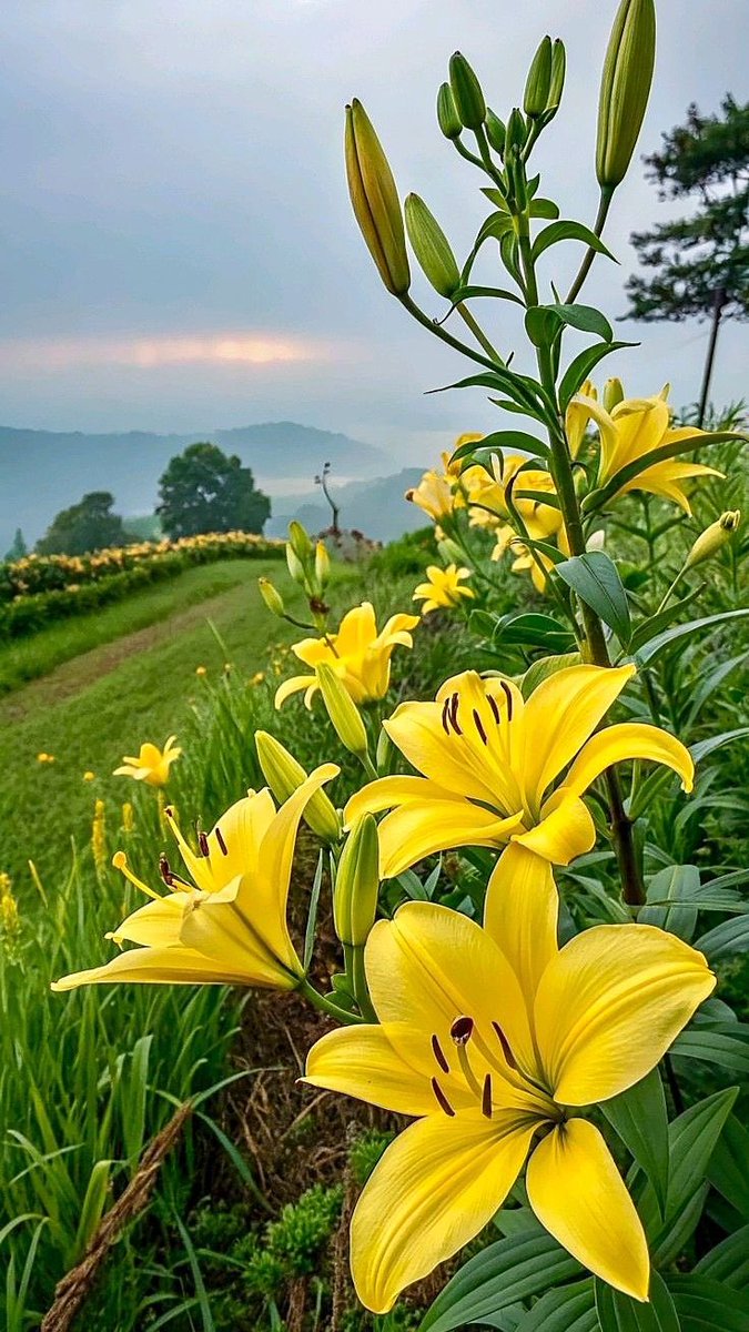 Every new day is a blessing!