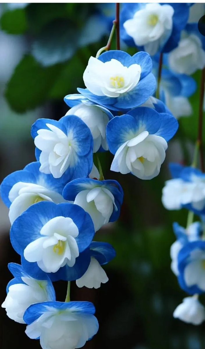 escape056's tweet image. 