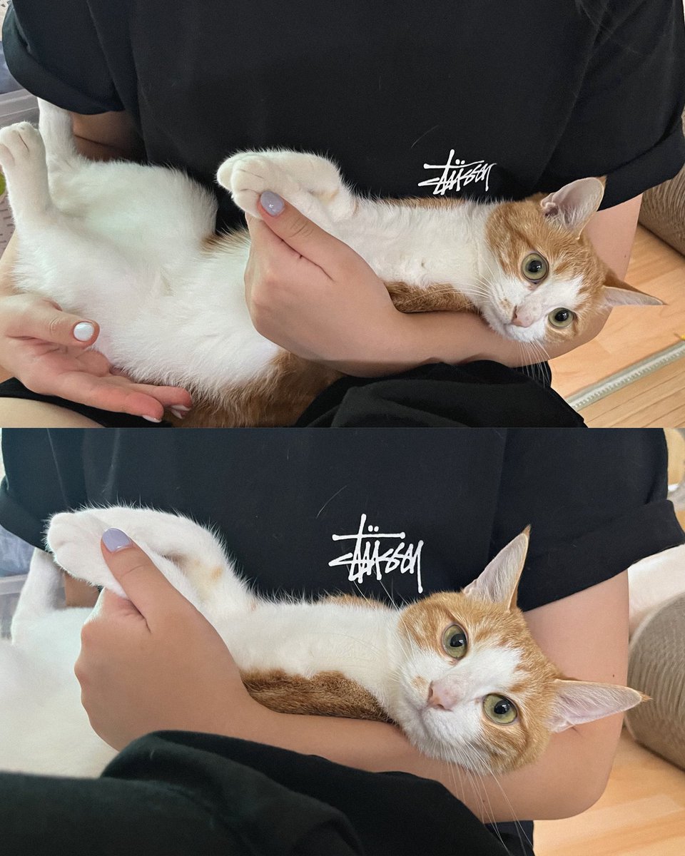 mo0_mo00's tweet image. 둥기둥기에 만족스러운 얼굴을