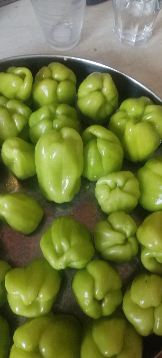 Και τι εγινε που δεν περασε? Ξερω πως δε θα πεινασει ποτε!!! 
Τώρα θα μου πείτε που κολλανε τα γεμιστα!!! 
Μόνος του τα εσπειρε, τα φρόντισε και σήμερα τρωμε το 1ο μας φαγακι!!!