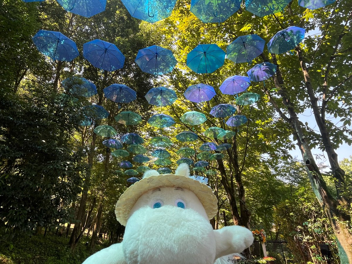 Lerror_L's tweet image. 麦わら帽子ムミン🌻👒