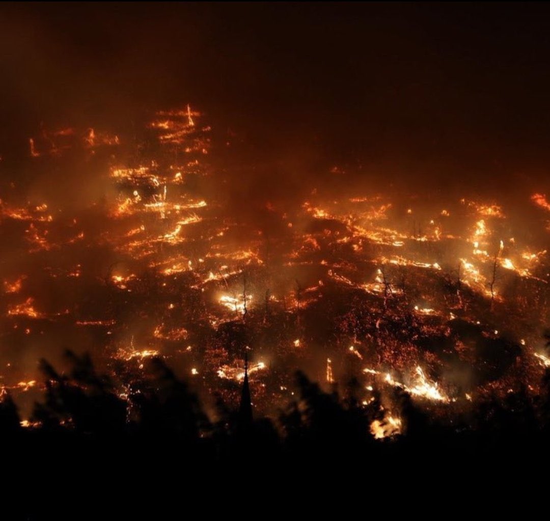 Ormanlar cayır cayır yanıyor. AKP yine ortada yok.

Çünkü onlar için orman yangınlarıyla mücadele, beşli çeteye ihale edilebilir hale geldiğinde anlamlı.

Yangının sönmesinden rant çıkaramadıkları sürece halk, ormanlar kaderine terk edilir.

Yine biz ve felaket baş başa kaldık.