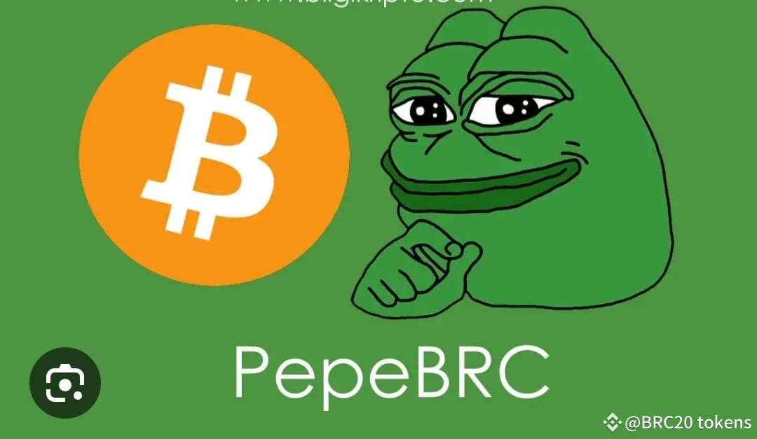 AlynOnBitcoin's tweet image. Remember who killed the vibes around the Ordinals.
And remember what brought them back to life.
It was BRC-20 that sparked the fire again.
So when you're taking profits on your BRC-2.0 plays @adderrels @LiquidTokenBRC @EarlyBirdsBRC @punkameleonbtc @GnarlyBel
Respect the…