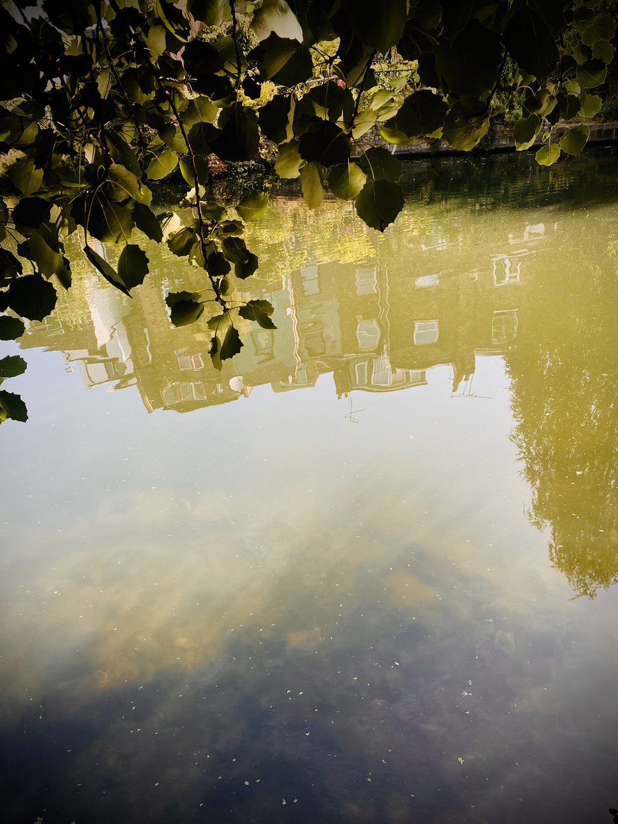 haiku366's tweet image. windowless morning 
sweeping world into the room 
these dreams are breaking