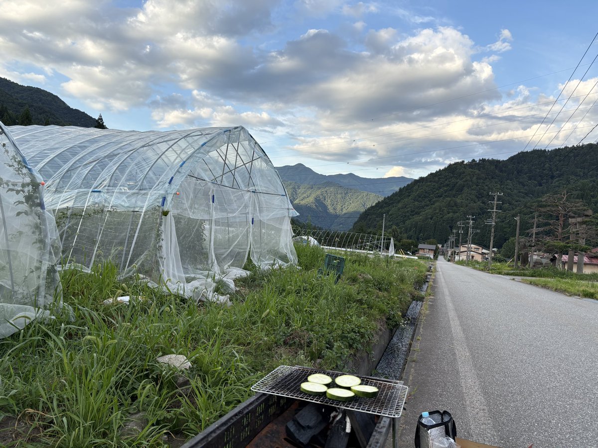 minatoku_genkai's tweet image. 畑仕事終えたら採れたての野菜を炭焼きにする。食べきれへんから食べにきて笑