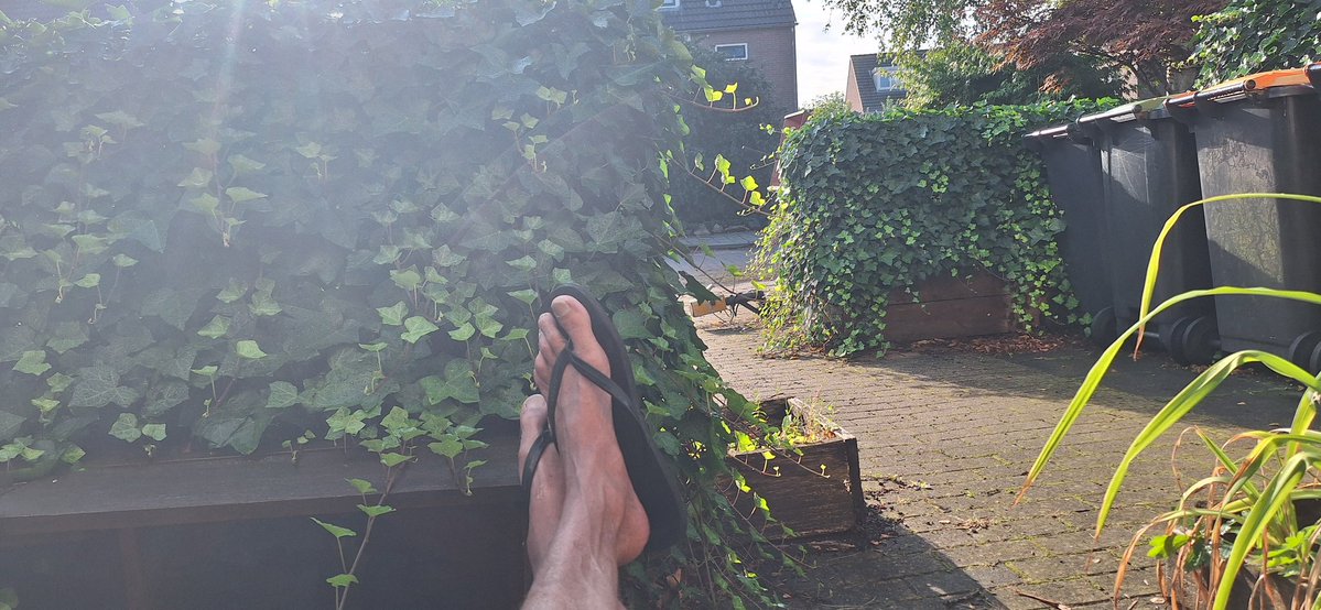 GerlantZ's tweet image. De koffie komt me ondertussen de neus uit. Maar ben er nog steeds niet overuit wat ik vandaag ga doen. Dan toch maar naar de autorodeo in Hoonhorst? #vakantie
