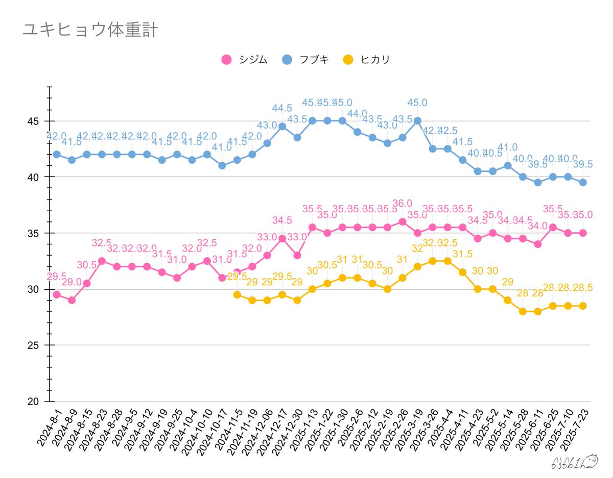 636b1h's tweet image. 2025-7-23の体重
記録用の折れ線グラフを更新しました。
#ユキヒョウ #シジム #フブキ #ヒカリ
#snowleopard #Sizim #Fubuki #Hikari
#ユキヒョウ体重計
#円山動物園
集計期間:2024-8-1~