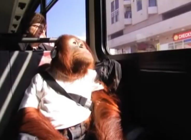 dobiren09's tweet image. Goode morning everyone