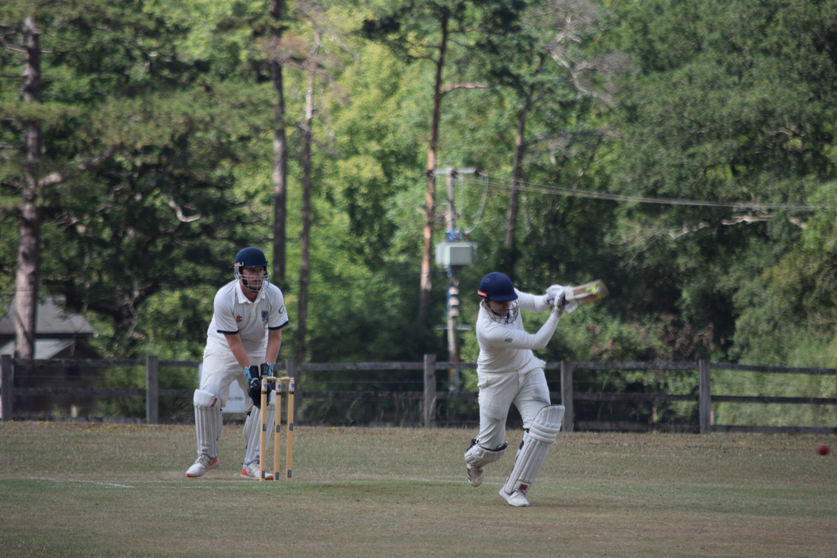 The Bushmen tweet media