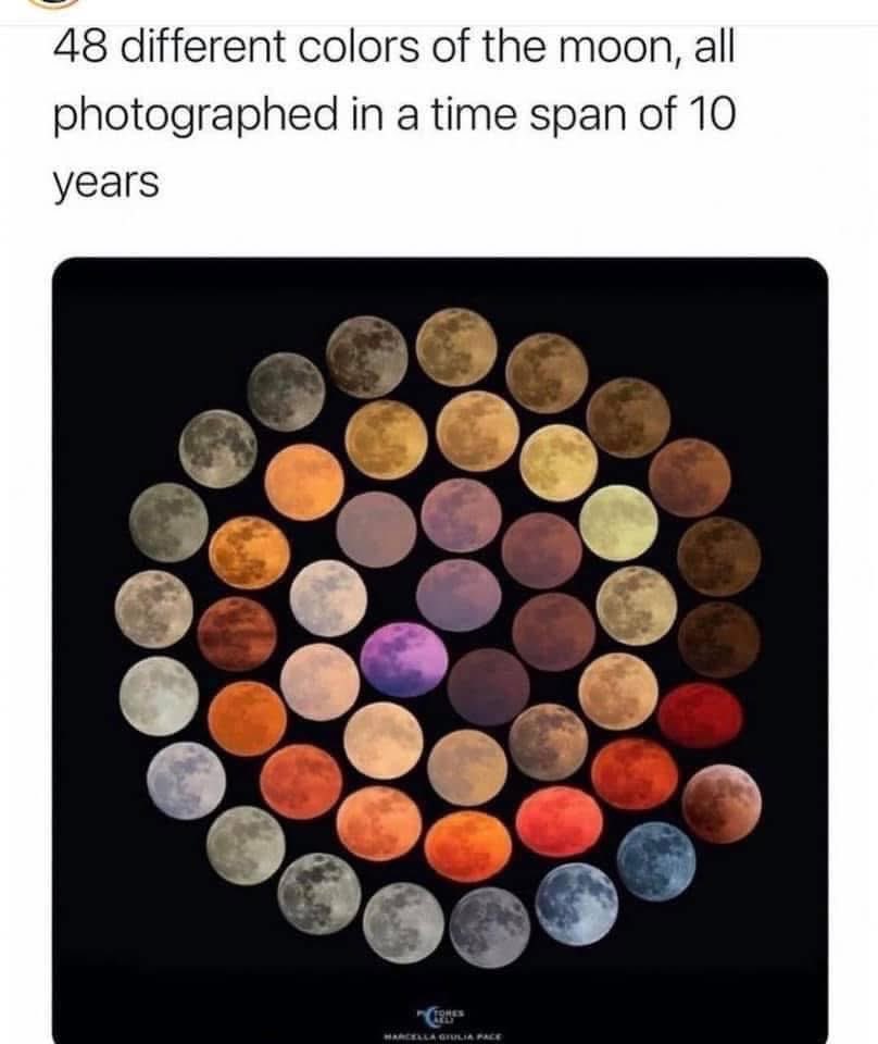 JimSichko's tweet image. 