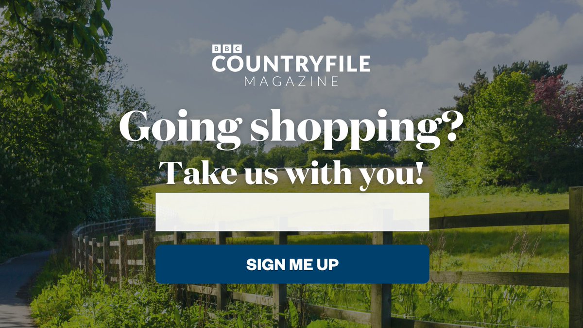 Not sure what kit to buy? 🥾🎒⛺️ 

Our fortnightly newsletter, Tried &amp; Tested, is designed to help you make informed decisions when it comes to purchasing new products.

Sign up here: try.countryfile.com/tried-tested-n…
