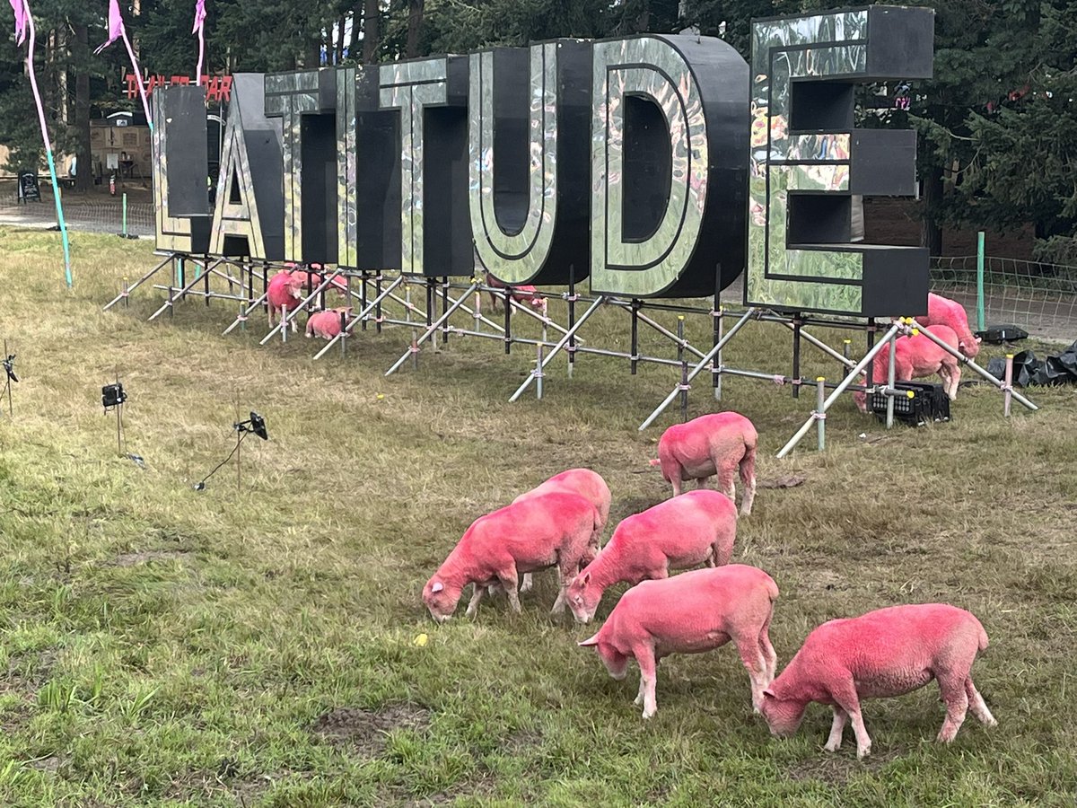 Wayne Bavin (@waynebavinshow) on Twitter photo Sunday morning <a href="/LatitudeFest/">Latitude Festival</a> and a few friends have joined me for breakfast π³ πππ Sunday morning <a href="/LatitudeFest/">Latitude Festival</a> and a few friends have joined me for breakfast π³ πππ