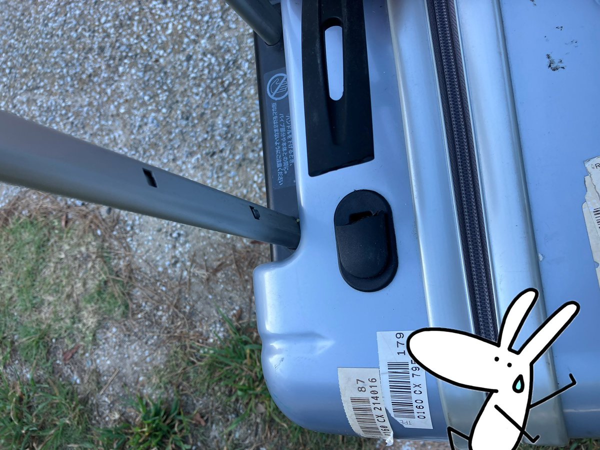 oDra0's tweet image. キャリーケース音がおかしいなーって、車に到着後確認したらタイヤがほぼ無しΣ( ̄。 ̄ノ)ノ
車に乗せる為に持ち上げようとしたら取っ手とれてΣ(゚д゚lll)
14〜15年以上を共にしたので耐久年数的に当たり前なのですが、車に運ぶまで耐えてくれて凄い。
長年色々な所に連れて行ってくれてありがとう🙏