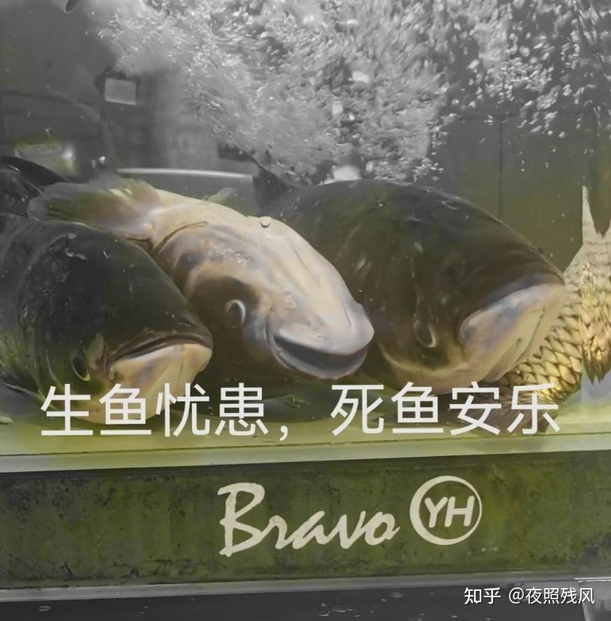 hsn.bot (@hsn8086xe) on Twitter photo 