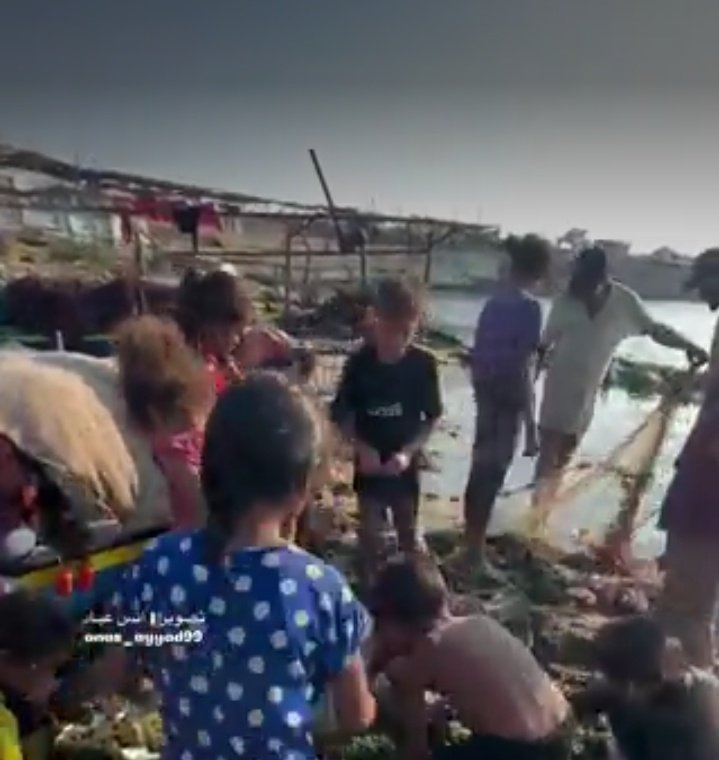 Pullse360's tweet image. 🌐BREAKING:
In Gaza, children are seen searching through algae in hopes of finding something to eat — a heartbreaking scene that captures the sheer suffering caused by the suffocating blockade imposed by the Israeli occupation and Cairo.