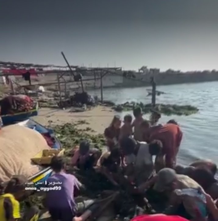 Pullse360's tweet image. 🌐BREAKING:
In Gaza, children are seen searching through algae in hopes of finding something to eat — a heartbreaking scene that captures the sheer suffering caused by the suffocating blockade imposed by the Israeli occupation and Cairo.