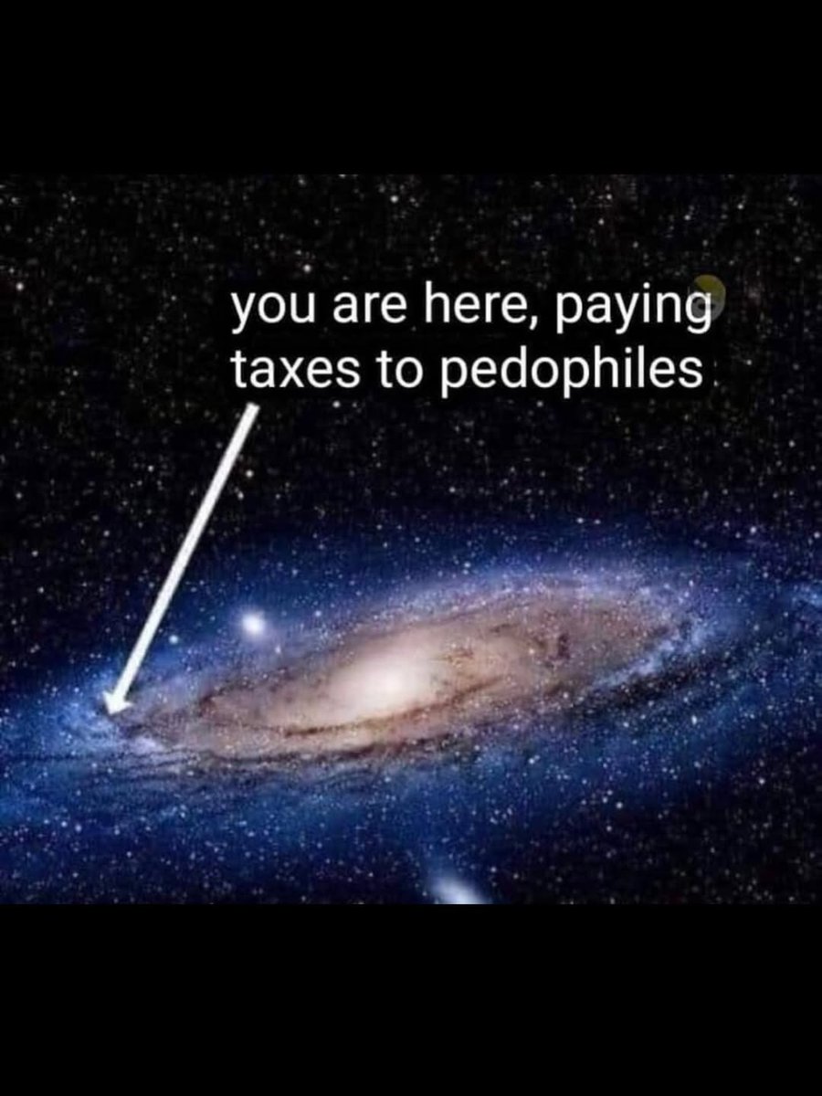 nobarkchip's tweet image. 