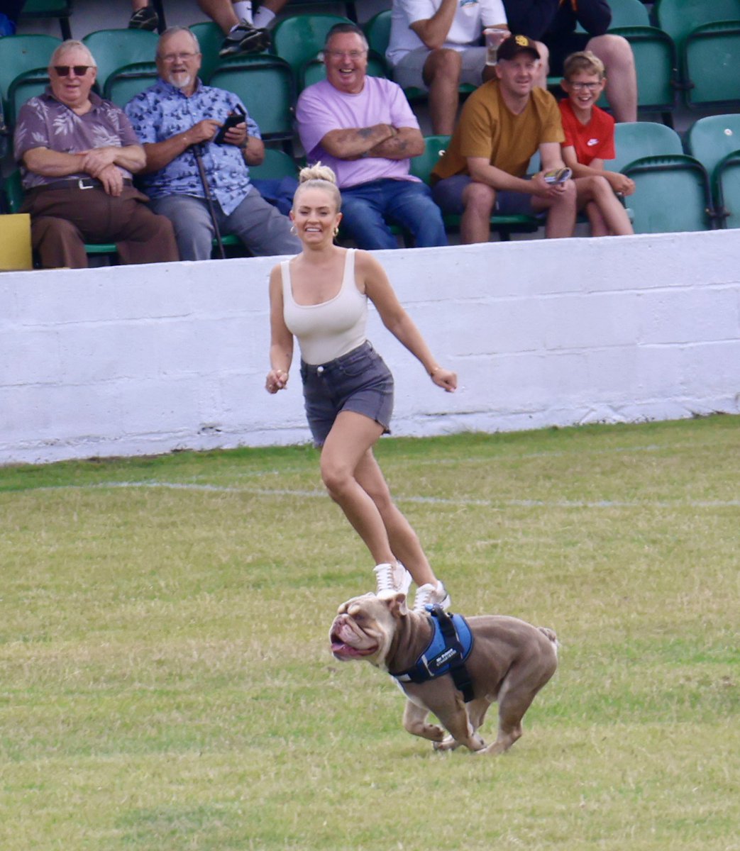 Dog stopped play <a href="/torpointafc/">Torpoint AFC</a> Vs <a href="/BradfordTownFC/">Bradford Town F.C.</a> 

Banning Order incoming?

<a href="/NonLeaguePaper/">The Non-League Paper</a> <a href="/PLsportsnews/">PlymouthSportsNews</a>