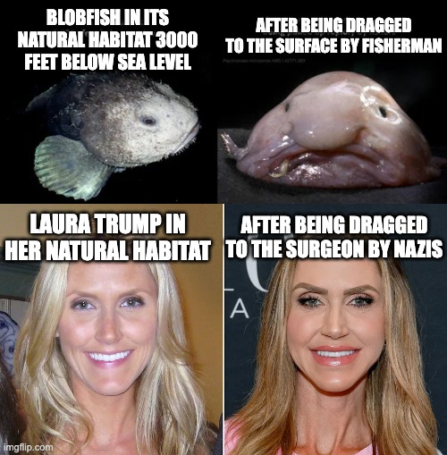 LeoJamesMusic's tweet photo. This is for sure the most toxic meme I've made like... probably ever. I was torn about posting it, due to the inherent misogyny of mocking the way a woman looks. But this was her choice, and she looked great before. Hope it was worth a seat near the throne.

#EpsteinFiles https://t.co/MXNQs8JIgX