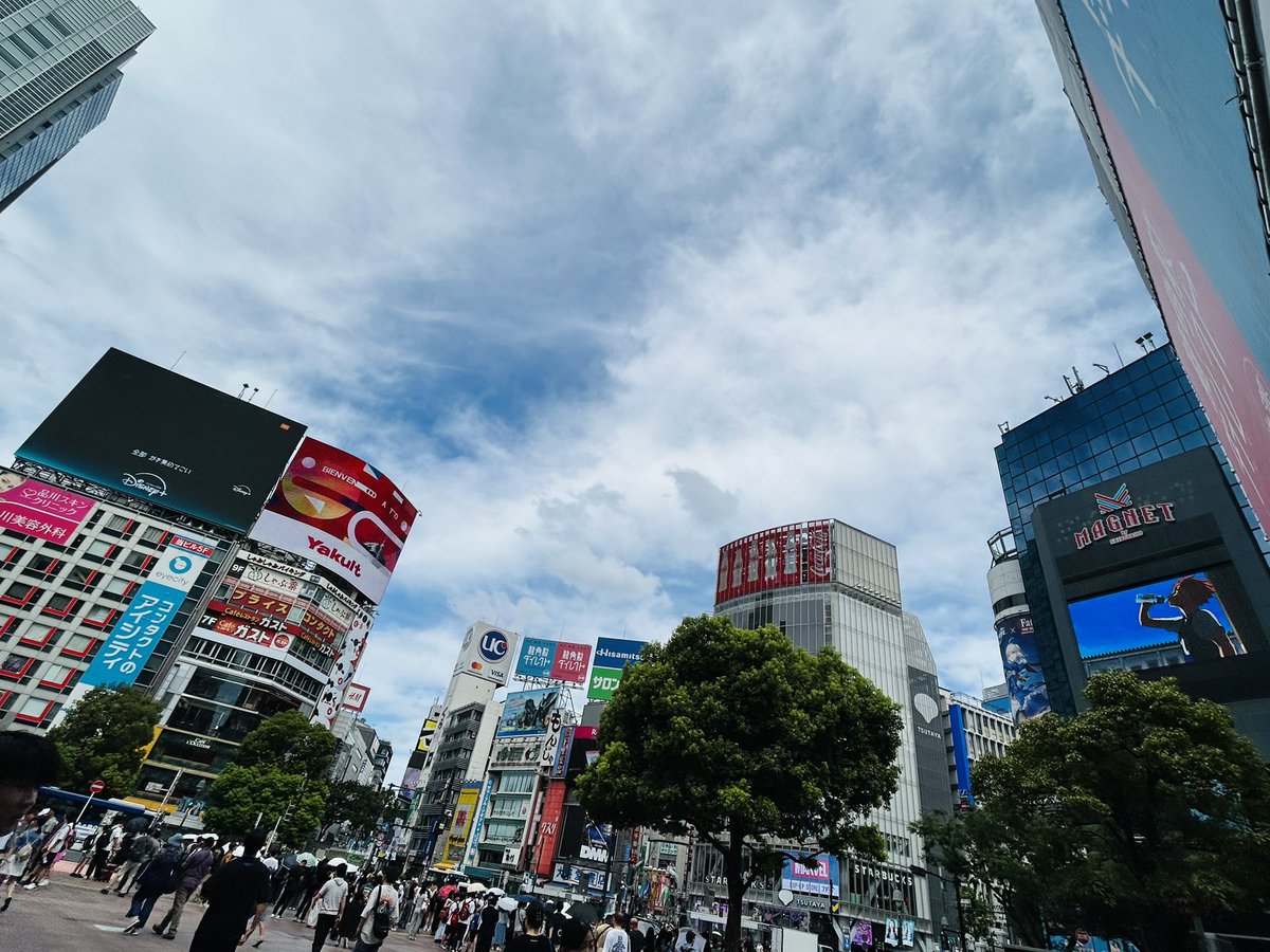 UBinaba's tweet image. 今日のハイライト