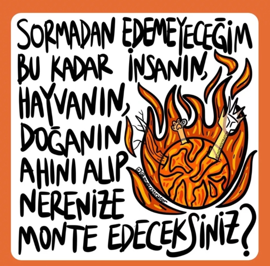 #bursayanıyor
#Türkiyeyanıyor 
#KarabükYanıyor 
#ülkeyanıyor
#OHAL 
#OrmanVatandır 
#ormanyangını