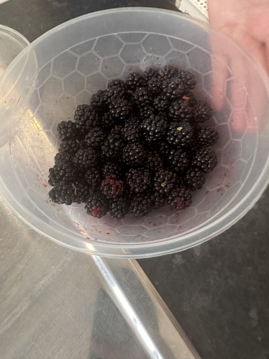 DayWalkerEm1's tweet image. Yesterday I had cake! The kids made jelly sweets and the girls went blackberry picking with Nan .. we had a good day and luckily nice journey on the m25 back .. on the way was bs nearly 4 hours! Ugh but on way home hour and half
