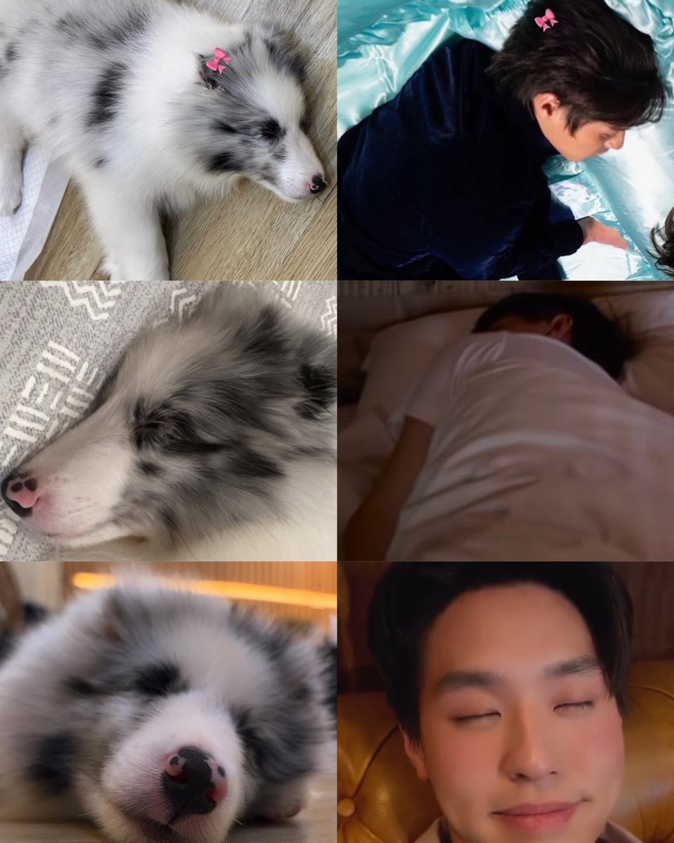 biwkeen's tweet image. Wake up!
Bangun!
ตื่น!
唤醒!
起きて!
일어나!
ຕື່ນ!
ភ្ញាក់ឡើង!
Thức dậy!
जागो!
ഉണര്!
بیدار شو!
Оян!
Ойгон!
Бедор шав!
ئويغىن!