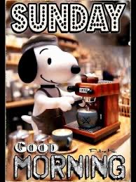 janaroo1's tweet image. Good morning everyone ♥️
