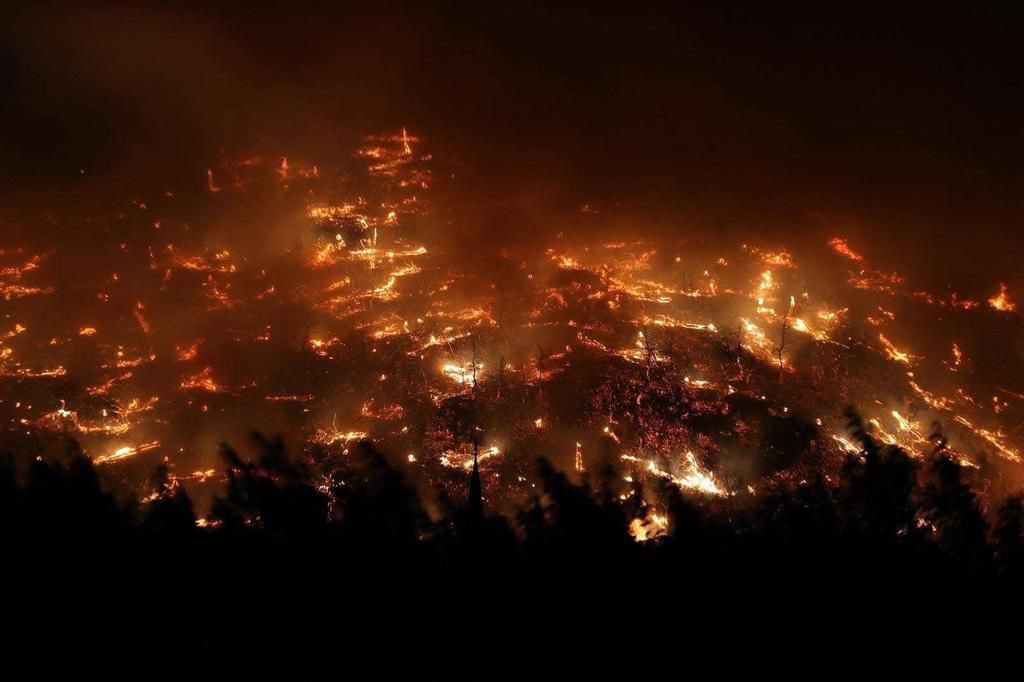 Geçmiş Olsun Türkiye 🇹🇷

Bursa, Karabük, Zonguldak, Ankara ve daha birçok ilimizde meydana gelen orman yangınları hepimizin içini yakmıştır.

Yeşil vatanımızı korumak için gece gündüz demeden canla başla mücadele eden tüm kahraman personelimize ve gönüllülerimize minnettarız.