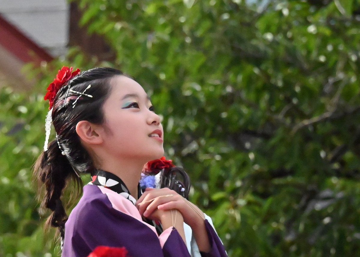 44982441shimu's tweet image. 能代市役所さくら庭で行われている 
夏だ！ビアガーデン屋台村2025にて
寺こまちゃん・・・寺内こまちはやて組
その１